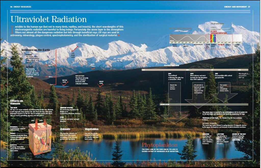 英国小学科学百科读物(不列颠图解科学丛书)