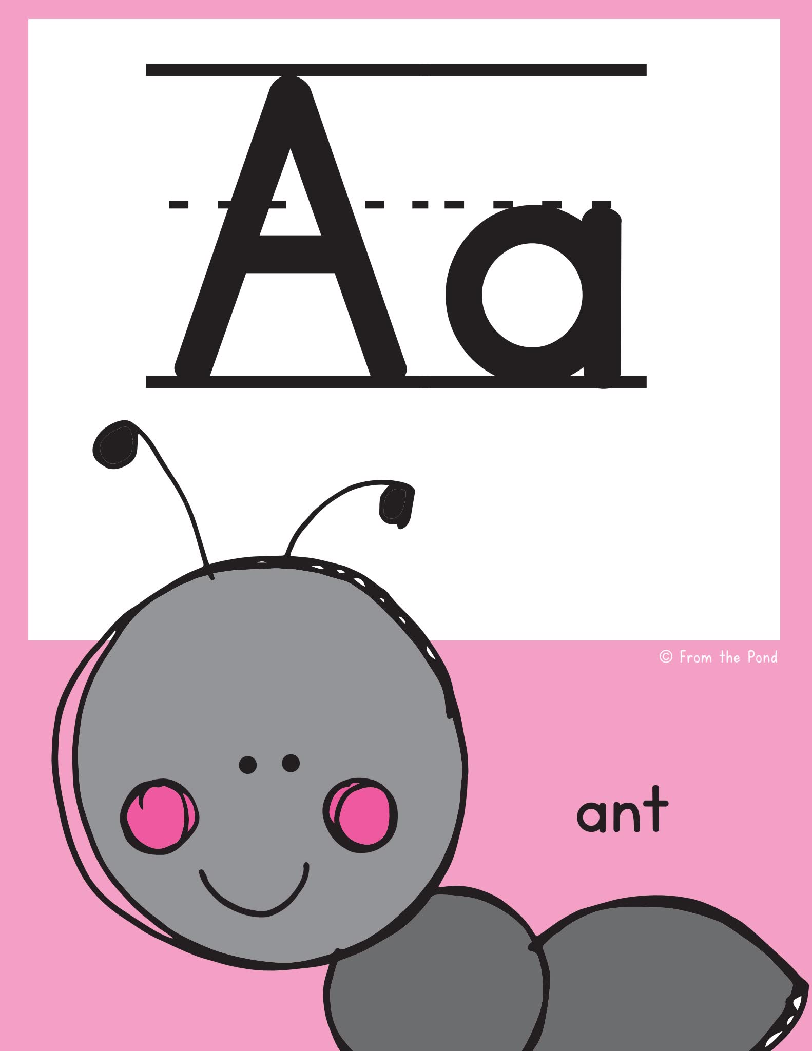 An Animal Alphabet Disply